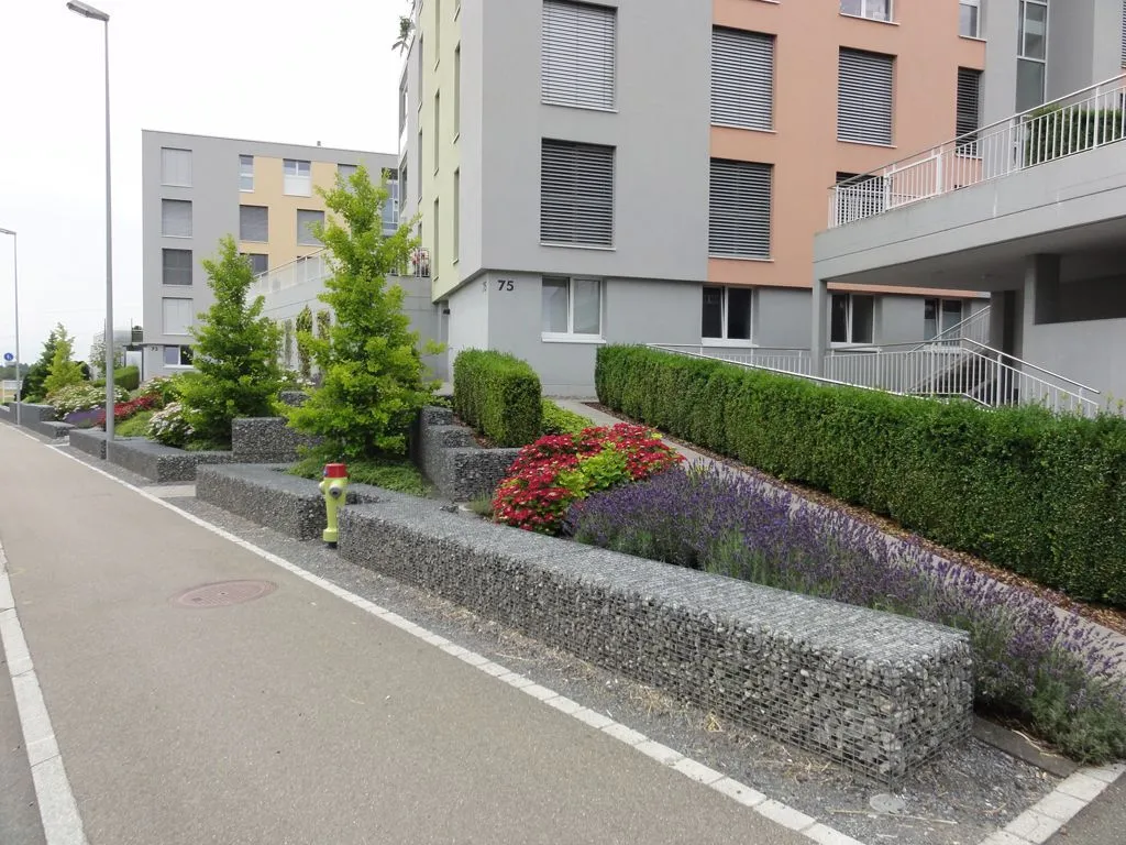 8.webp