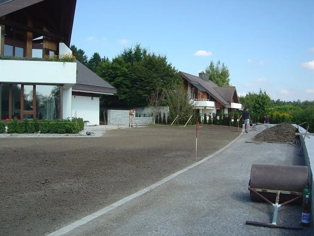 17.webp